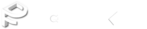 Digital Flipt logo